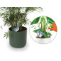 Ensemble comprenant 4 types d'alarmes de sol sec