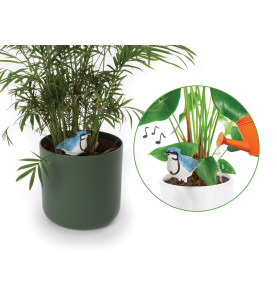 Ensemble comprenant 4 types d'alarmes de sol sec - PRL