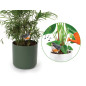 Ensemble comprenant 4 types d'alarmes de sol sec