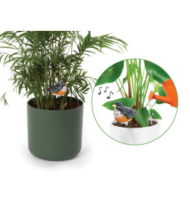 Ensemble comprenant 4 types d'alarmes de sol sec - PRL