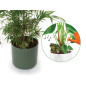 Ensemble comprenant 4 types d'alarmes de sol sec