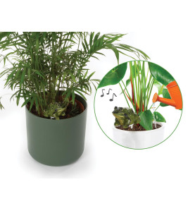 Ensemble comprenant 4 types d'alarmes de sol sec - PRL