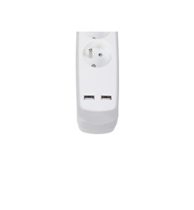 BLOC MULTIPRISE AVEC INTERRUPTEUR - 3 PRISES - 2 PORTS USB - GRIS/BLAN