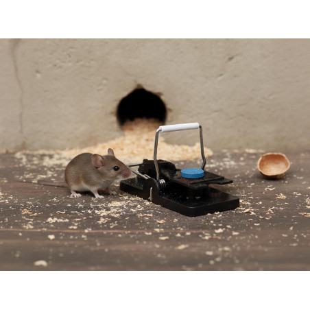 Piège à souris parfumé à la vanille