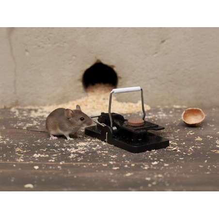Piège à souris parfumé au chocolat
