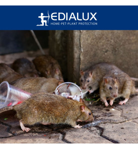 Piège à rats Quicksnap, promopack 2+1 pcs - PRL