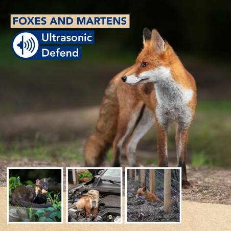 Ultrasonic Defend - renards et fouines, max. 200m², avec flash