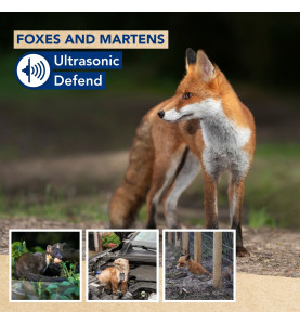 Ultrasonic Defend - renards et fouines, max. 200m², avec flash - PRL