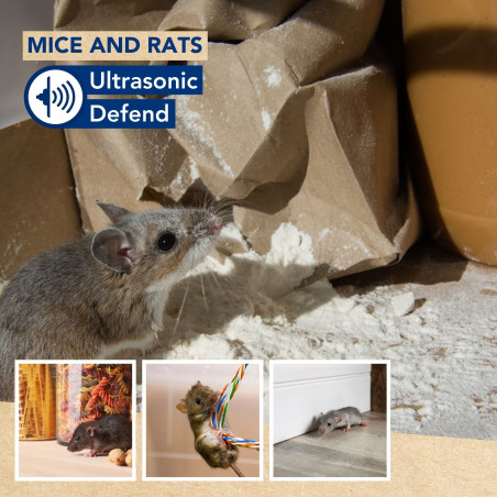 Ultrasonic Defend - souris et rats, max. 90m², 3 pcs