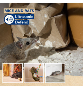 Ultrasonic Defend - souris et rats, max. 90m², 3 pcs - PRL