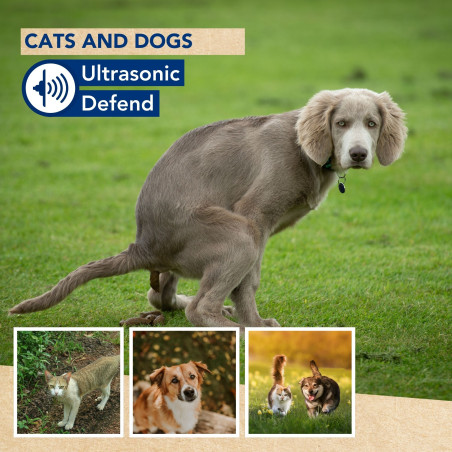 Ultrasonic Defend - chats et chiens, max. 200m²