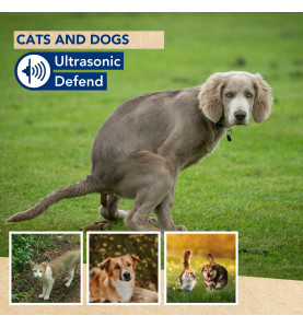 Ultrasonic Defend - chats et chiens, max. 200m² - PRL