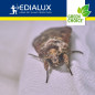 Green Choice - piège à mites, 2 pièces