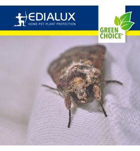 Green Choice - piège à mites, 2 pièces - PRL