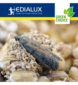 Green Choice - piège à mites alimentaires, 2 pièces - PRL