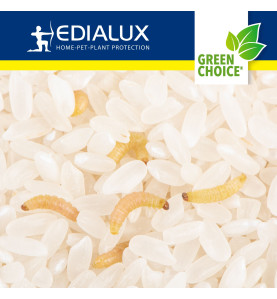 Green Choice - piège à mites alimentaires, 2 pièces - PRL