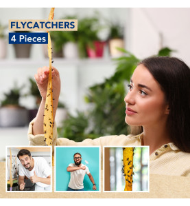 Green Choice - attrape-mouches, 4 pièces - PRL