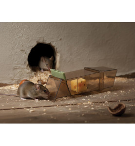 Piège à souris adapté aux animaux - PRL