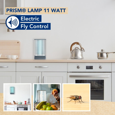 Lampe pour Prism - 11W