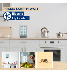 Lampe pour Prism - 11W - PRL