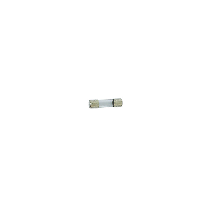 FUSIBLE 5 x 20mm RAPIDE 1A (10 pcs/boîte)