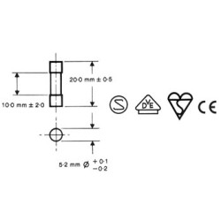 FUSIBLE 5 x 20mm RAPIDE 8A (10 pcs/boîte)