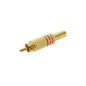 FICHE RCA MALE DORE - ROUGE FICHE RCA MALE DORE - ROUGE