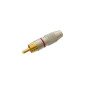 FICHE RCA MALE - CONTACT DORE - ROUGE