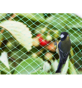FILET OISEAUX 4 x 10 m - PRL