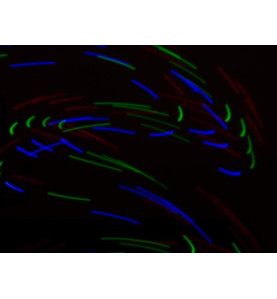 GANTS LUMINEUX LED - VS