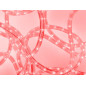 FLEXIBLE LUMINEUX À LED - 9 m - ROUGE