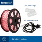 FLEXIBLE LUMINEUX À LED - 45 m - ROUGE