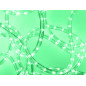 FLEXIBLE LUMINEUX À LED - 45 m - VERT