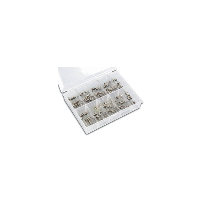 JEU DE FUSIBLES - LENTS - 100 pcs - 5 x 20 mm