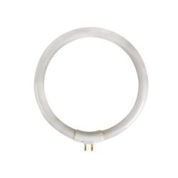 Tube fluorescent circulaire 12W/T4 pour VTLAMP10 - Velleman