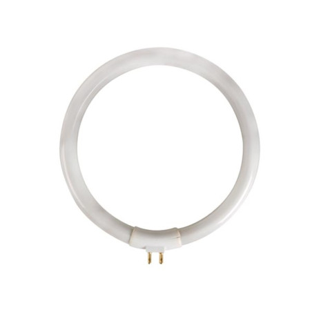 Tube fluorescent circulaire 12W/T4 pour VTLAMP10 - Velleman