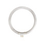 Tube fluorescent circulaire 12W/T4 pour VTLAMP10
