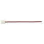 CÂBLE AVEC CONNECTEUR PUSH POUR BANDE À LED FLEXIBLE - 10 mm - 1 COULEUR