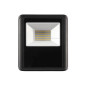 PROJECTEUR LED D'EXTÉRIEUR - 50 W, BLANC NEUTRE - NOIR