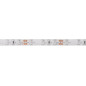 FLEXIBLE LED - BLEU - 300 LED - 5 m - 12 V