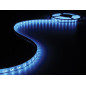 FLEXIBLE LED - BLEU - 300 LED - 5 m - 12 V