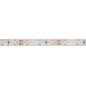 FLEXIBLE LED - BLANC FROID - 300 LED - 5 m - 12 V