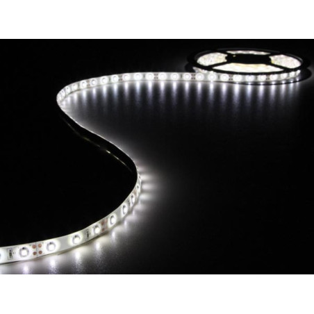 FLEXIBLE LED - BLANC FROID - 300 LED - 5 m - 12 V