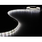 FLEXIBLE LED - BLANC FROID - 300 LED - 5 m - 12 V