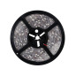 FLEXIBLE LED - ROUGE - 300 LED - 5 m - 12 V