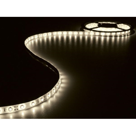 FLEXIBLE LED - BLANC CHAUD - 300 LED - 5 m - 12 V