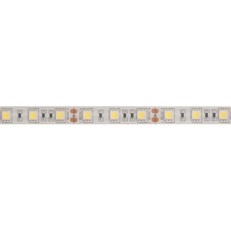 FLEXIBLE LED - BLANC FROID - 300 LED - 5 m - 12 V - Velleman