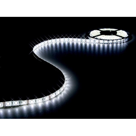 FLEXIBLE LED - BLANC FROID - 300 LED - 5 m - 12 V