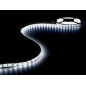 FLEXIBLE LED - BLANC FROID - 300 LED - 5 m - 12 V
