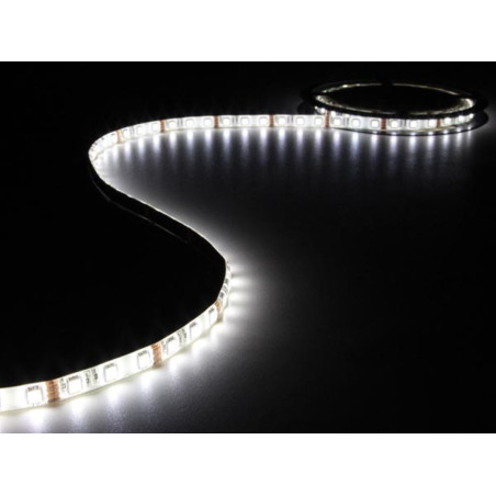 FLEXIBLE LED - BLANC NEUTRE - 300 LED - 5 m - 12 V